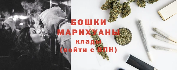 бошки Дмитров