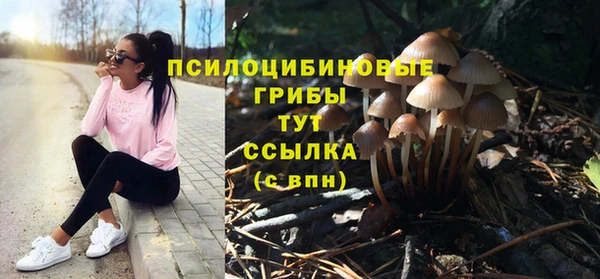 apvp Баксан