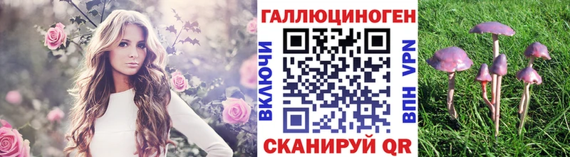 Псилоцибиновые грибы MAGIC MUSHROOMS  Кулебаки 